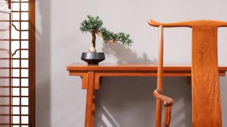 東成紅木 東成紅木